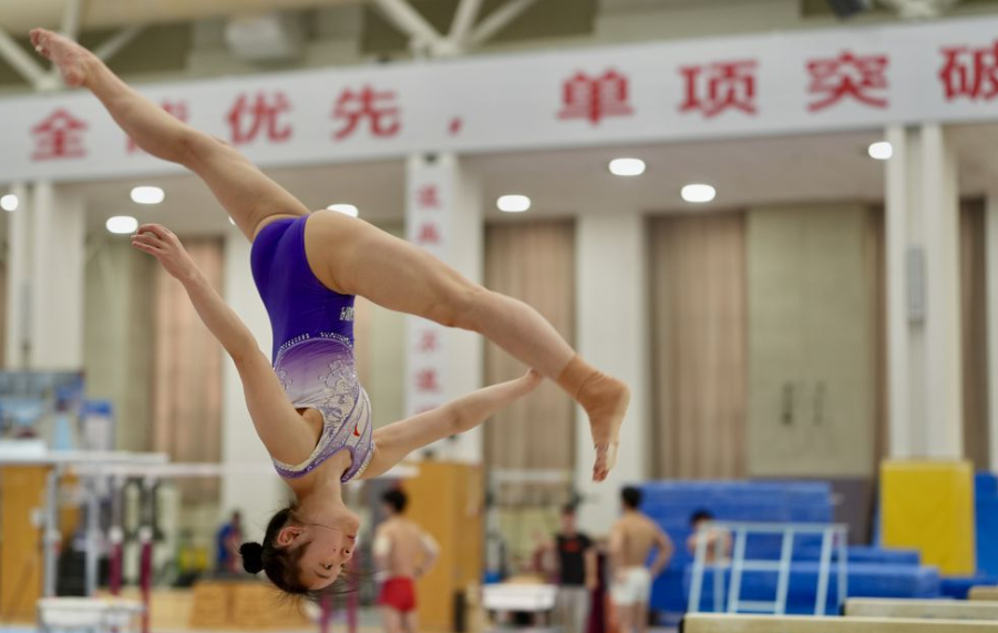 乐鱼体育app登录体验分享与评价